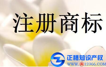 商標(biāo)注冊(cè)自行辦理與委托商標(biāo)代理機(jī)構(gòu)辦理有什么區(qū)別嗎？